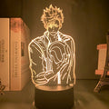 Luminária 3D LED Haikyuu – Shoyo Hinata