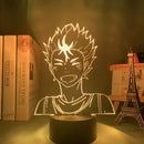 Luminária 3D LED Haikyuu – Shoyo Hinata